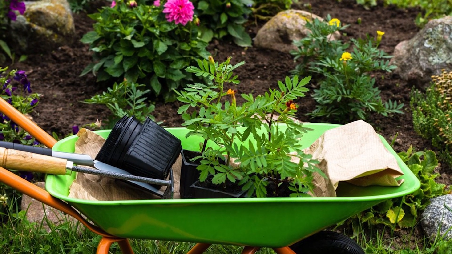 Wheelbarrow vs. Gorilla Cart Which is Better? GardenProfy