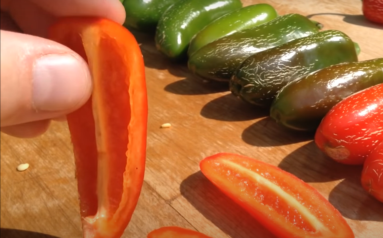 When to Pick Jalapenos From Garden? GardenProfy