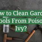 How to Clean Garden Tools From Poison Ivy?