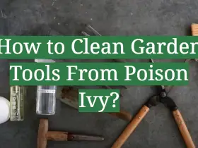 How to Clean Garden Tools From Poison Ivy?