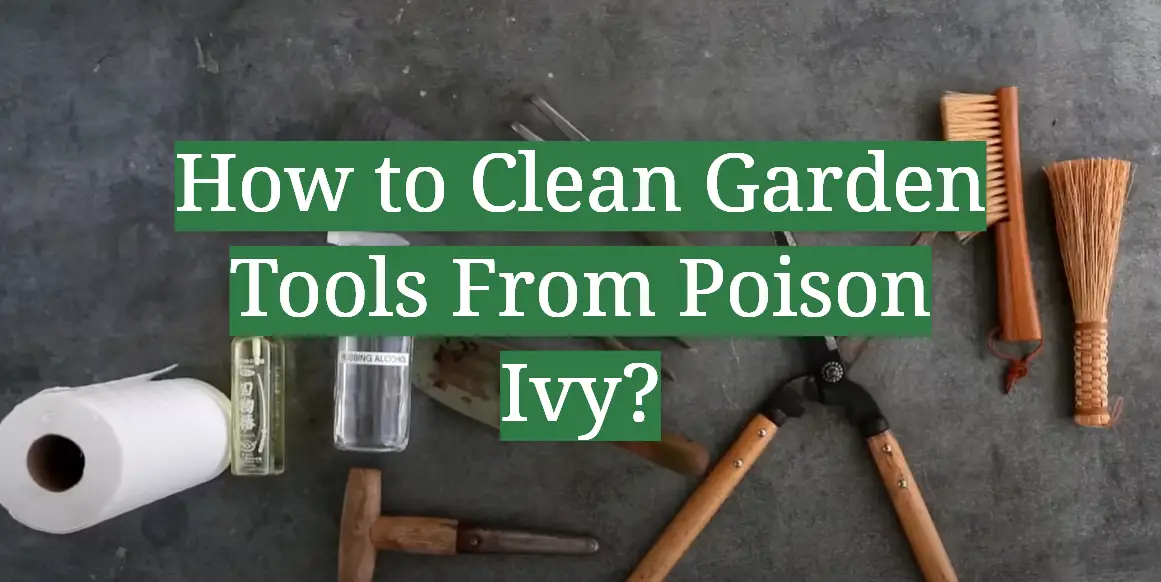 How to Clean Garden Tools From Poison Ivy?