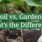 Topsoil vs. Garden Soil: What’s the Difference?
