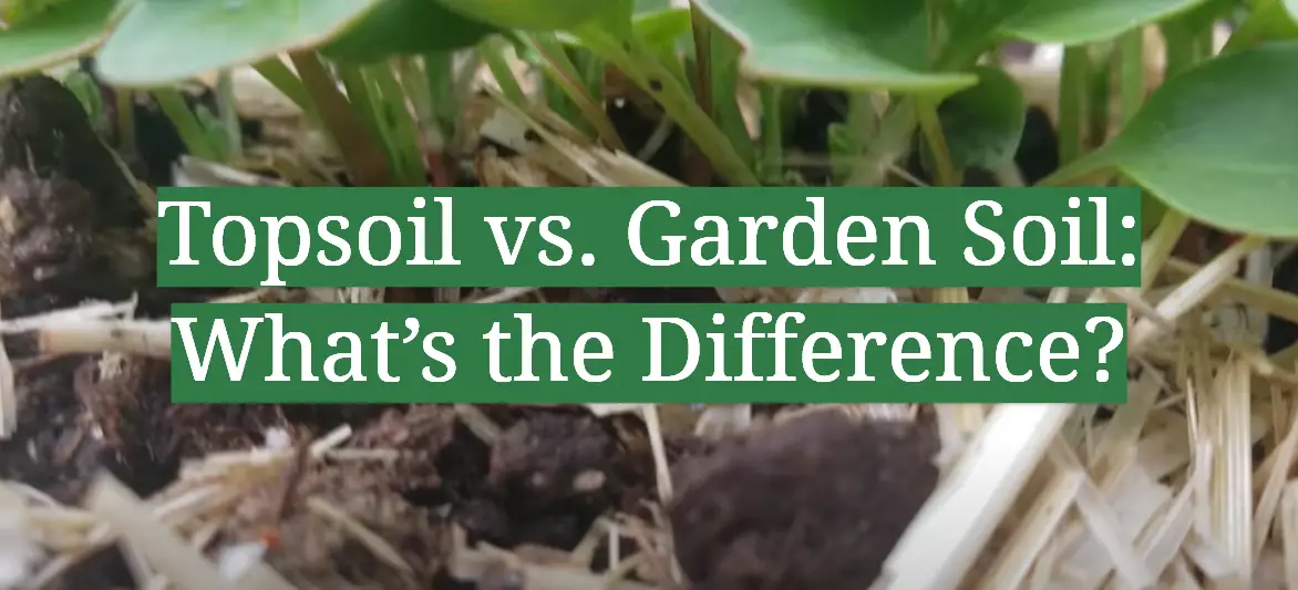 Topsoil vs. Garden Soil: What’s the Difference?