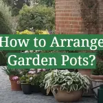 How to Arrange Garden Pots?