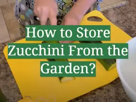 How to Store Zucchini From the Garden?