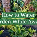 How to Water Garden While Away?