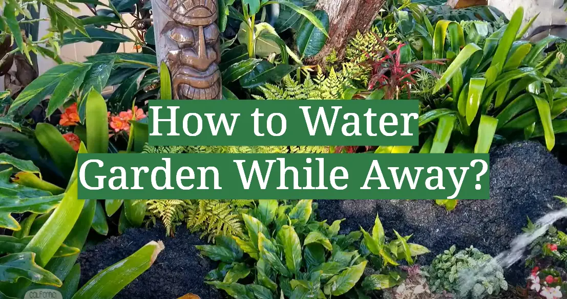 How to Water Garden While Away?