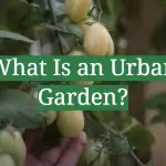 What Is an Urban Garden?