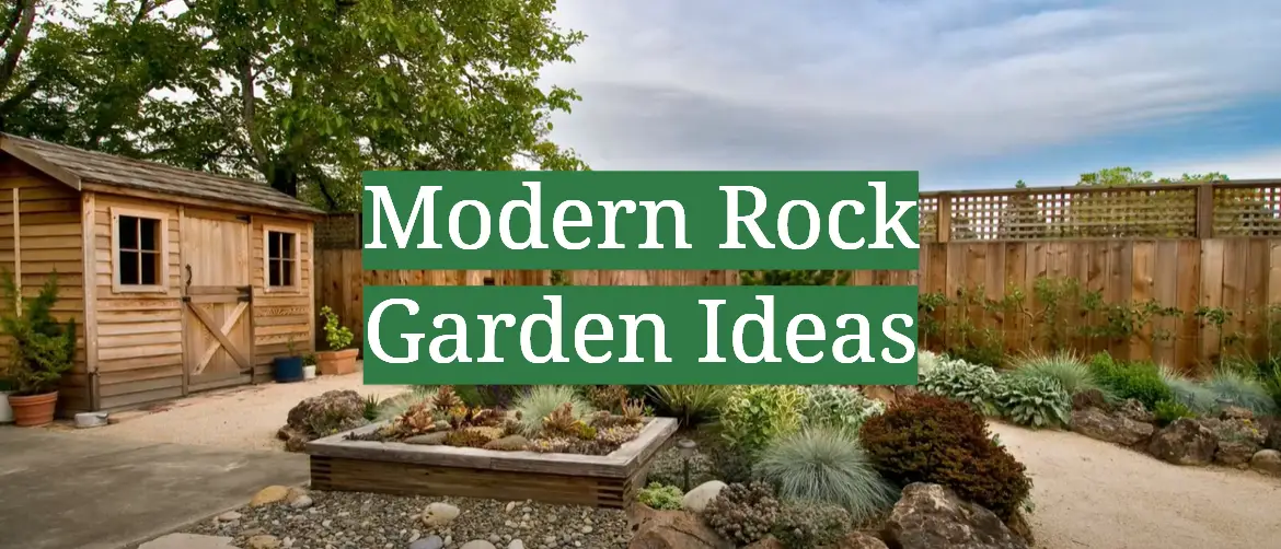 Modern Rock Garden Ideas