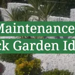 Low-Maintenance Small Rock Garden Ideas