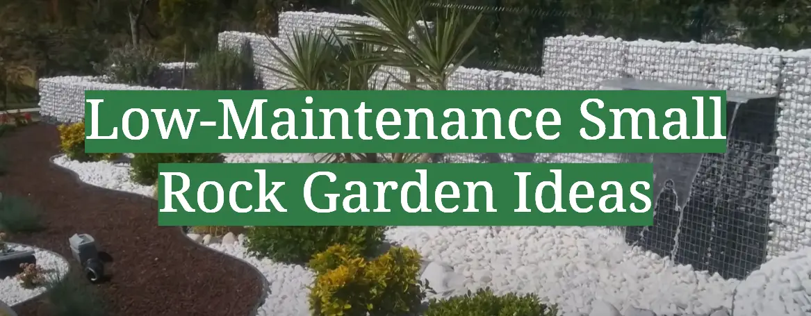 Low-Maintenance Small Rock Garden Ideas