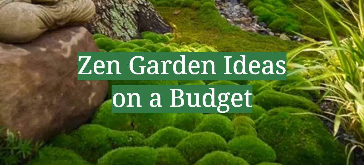 Zen Garden Ideas on a Budget