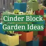 Cinder Block Garden Ideas