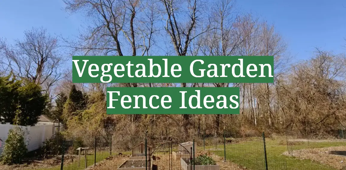 Vegetable Garden Fence Ideas