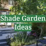 Shade Garden Ideas
