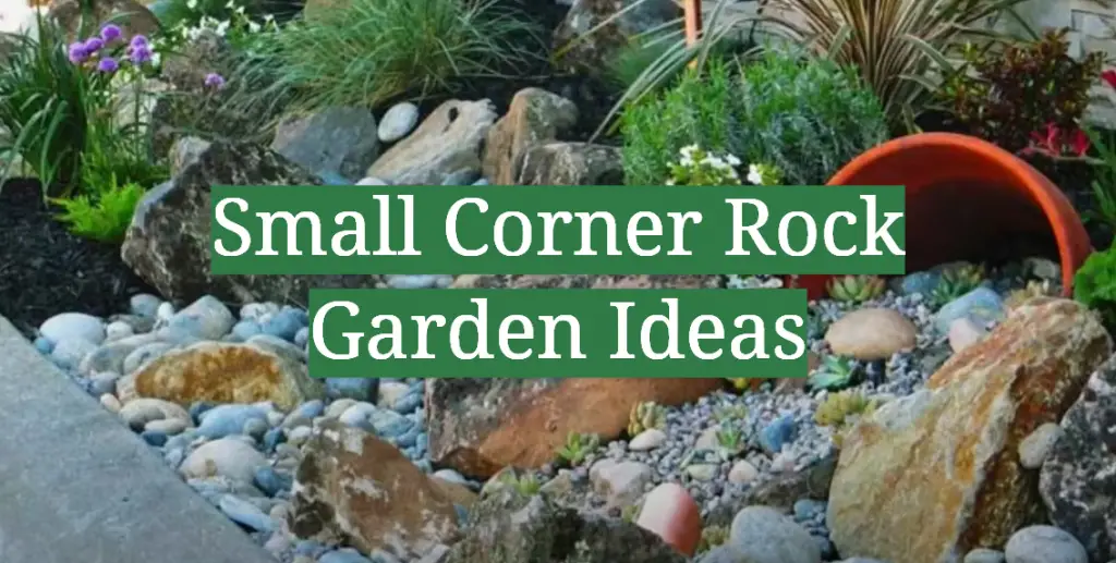 Small Corner Rock Garden Ideas GardenProfy