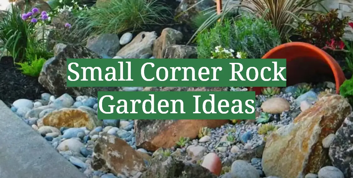 Small Corner Rock Garden Ideas