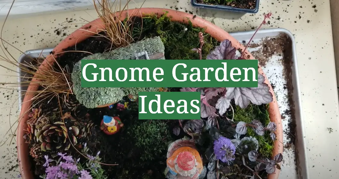 Gnome Garden Ideas