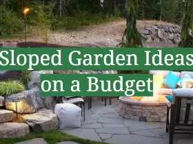 Sloped Garden Ideas on a Budget