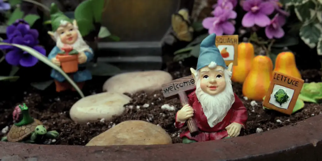 Gnome Pool