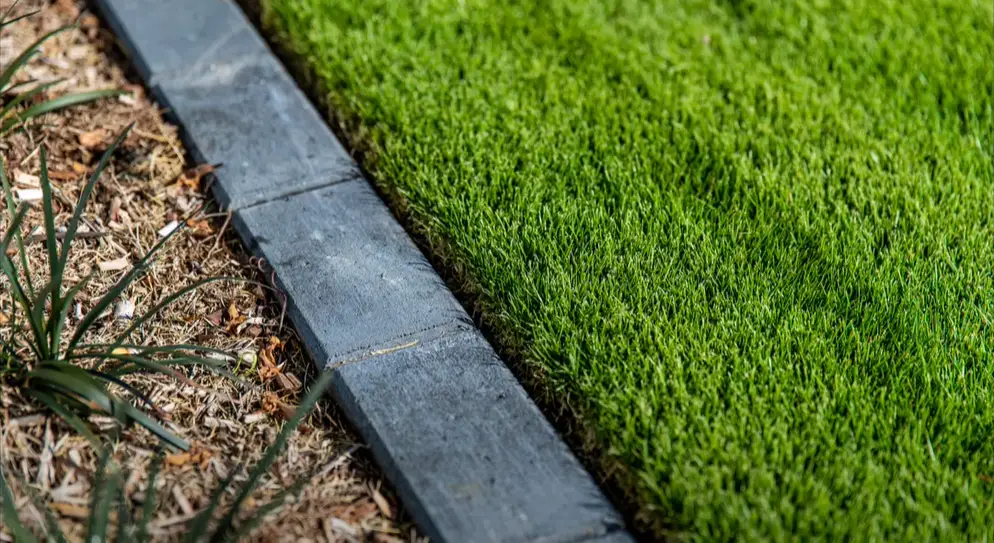 Go Green With Live Edging