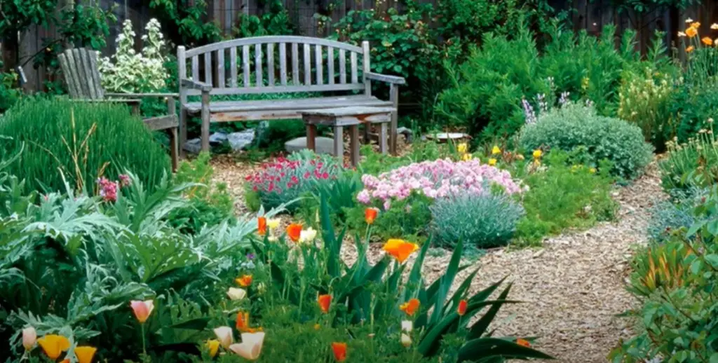 How do you maintain an English garden?