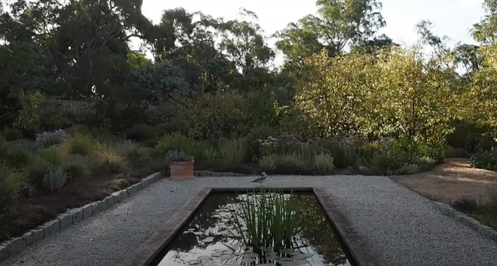 How to maintain a Raised Pond?