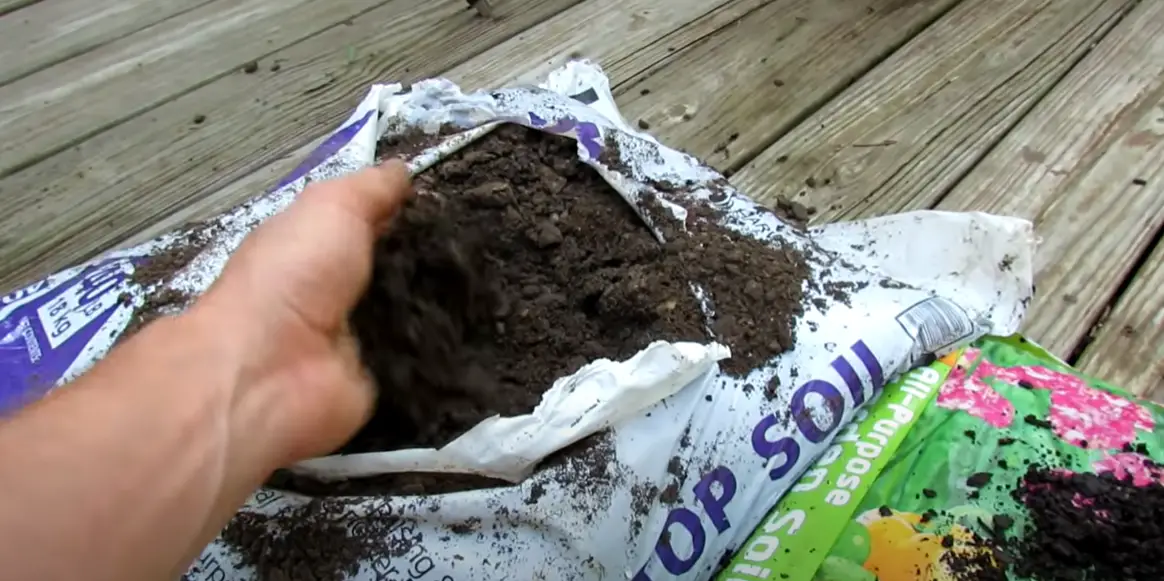 Can You Use Potting Soil in the Ground? GardenProfy