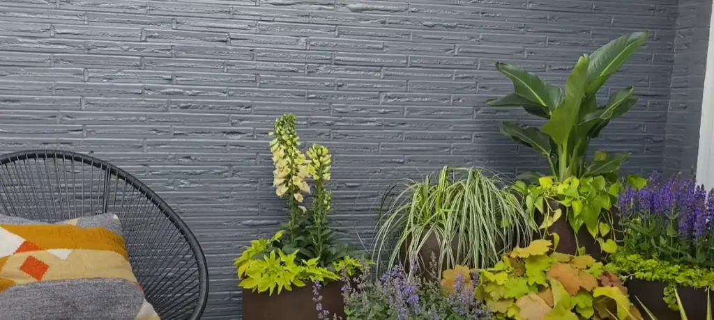 Planning Your Container Gardens