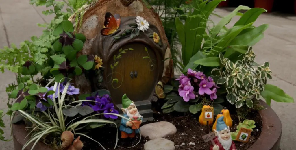 Rainbow Gnome Garden