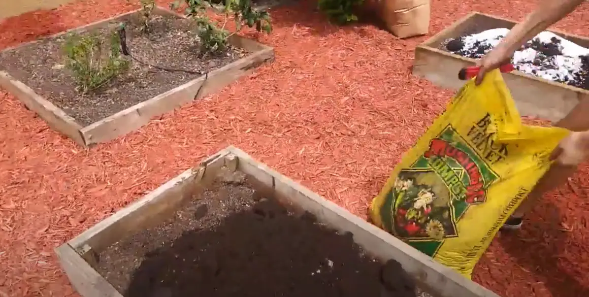 Garden Soil vs. Compost What’s the Difference? GardenProfy