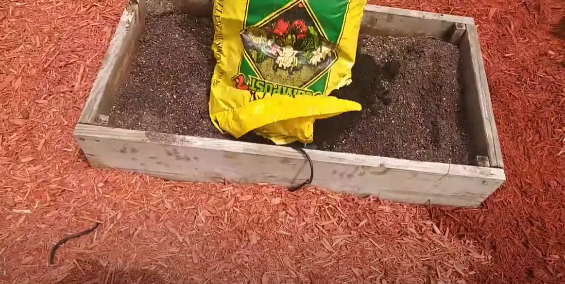 Garden Soil vs. Compost What’s the Difference? GardenProfy