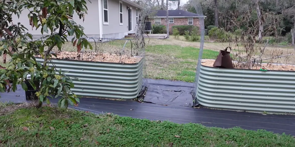 Birdies vs. Vego Raised Garden Beds Which is Better? GardenProfy