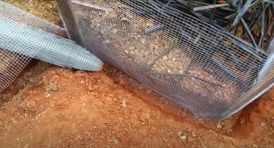 How to Keep Voles Out of the Garden? GardenProfy