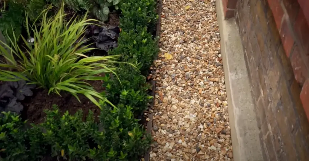 What to plant in a front garden?