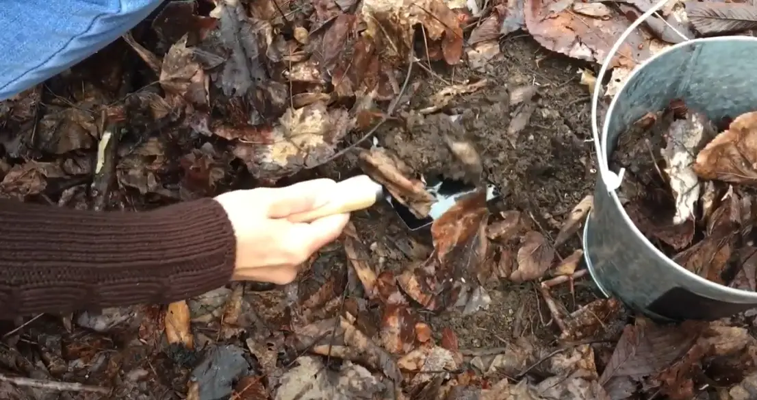 Can You Use Potting Soil in the Ground? GardenProfy