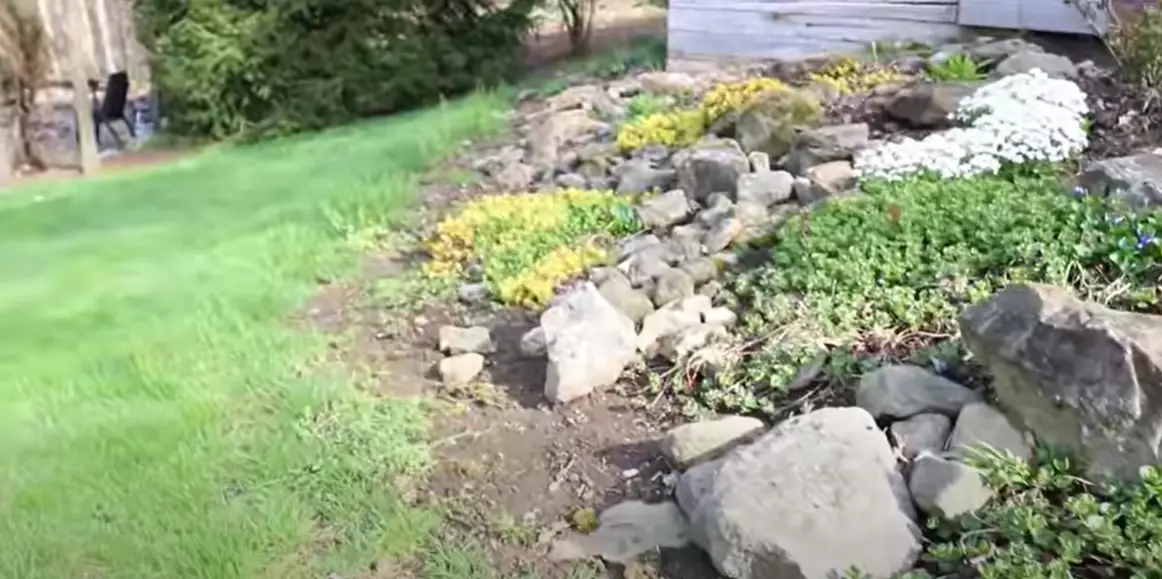 How to Build a Rock Garden Border? GardenProfy