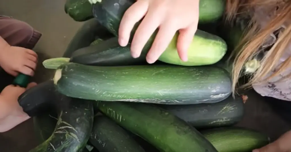 Zucchini and their health benefits