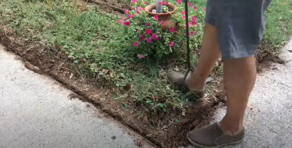 Circular Bed Garden