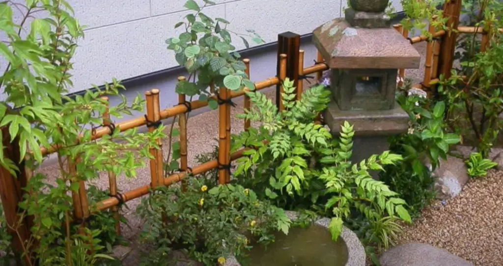 Create A Calming Fish Pond