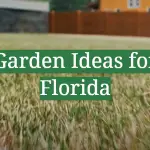 Garden Ideas for Florida