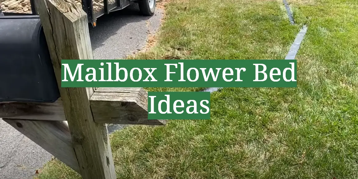 Mailbox Flower Bed Ideas