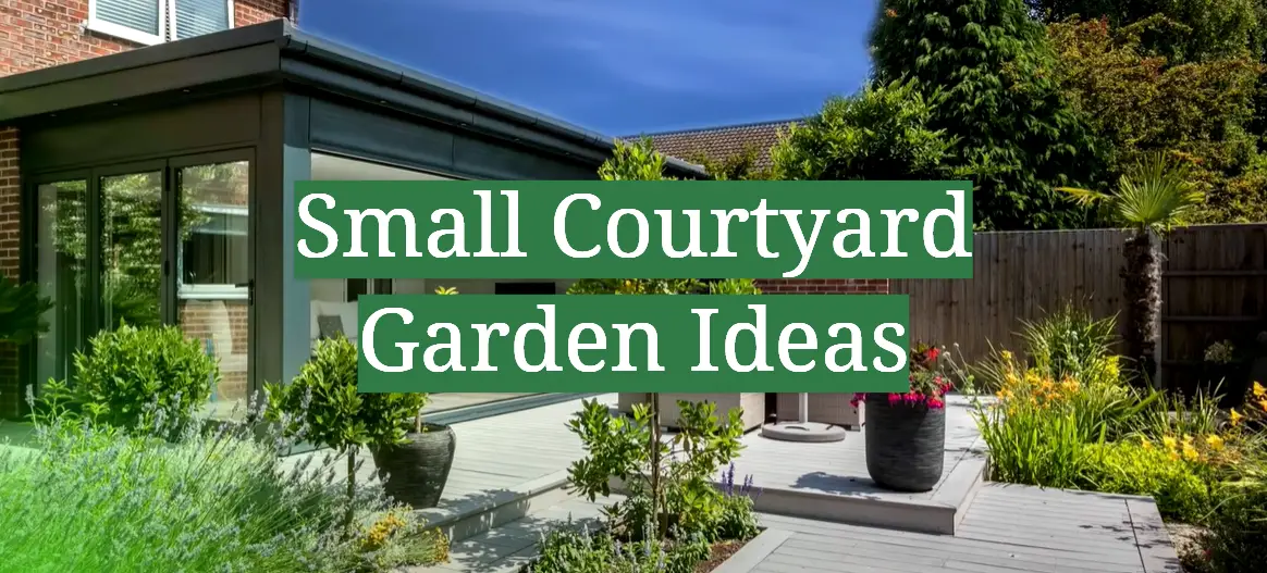 Small Courtyard Garden Ideas