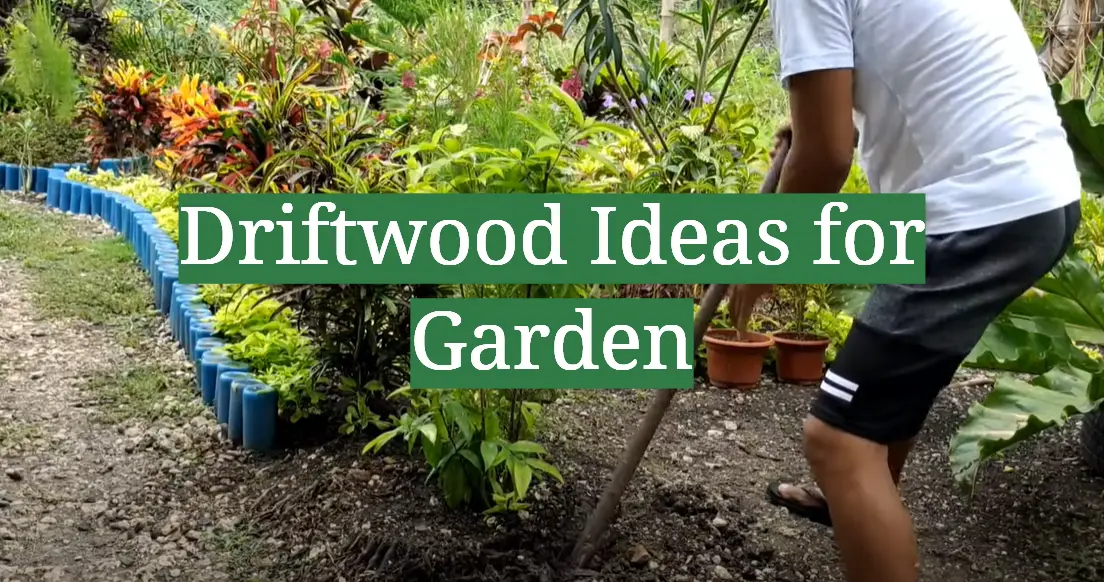 Driftwood Ideas for Garden