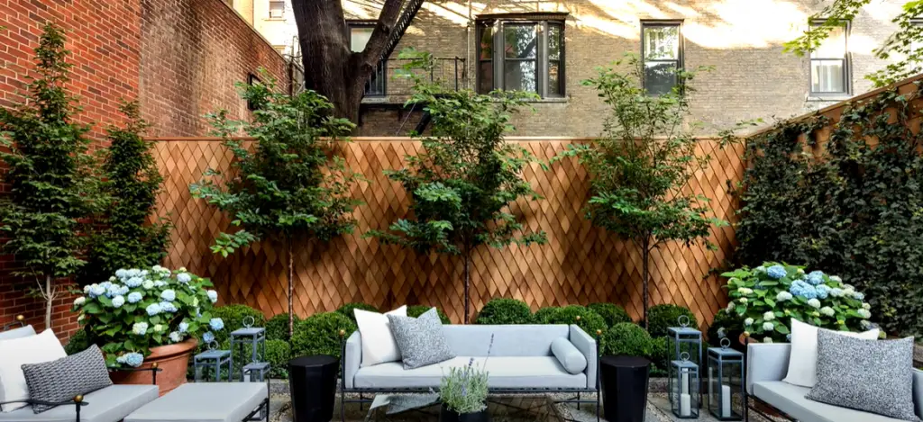 Marigold simple terrace garden ideas