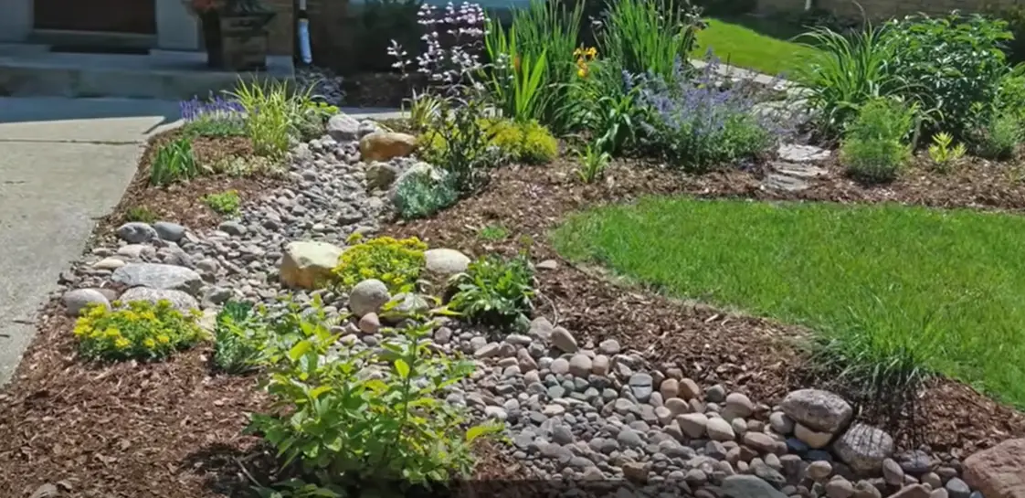 Rain Garden Ideas GardenProfy