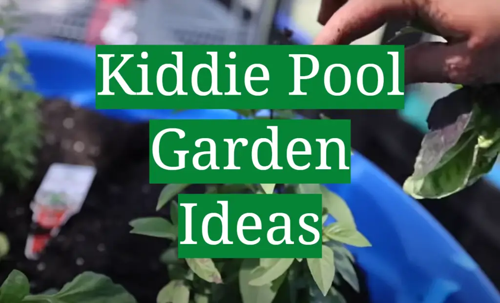 Kiddie Pool Garden Ideas GardenProfy