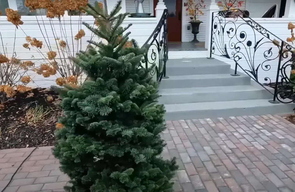 Outdoor Hay Bale Christmas Tree