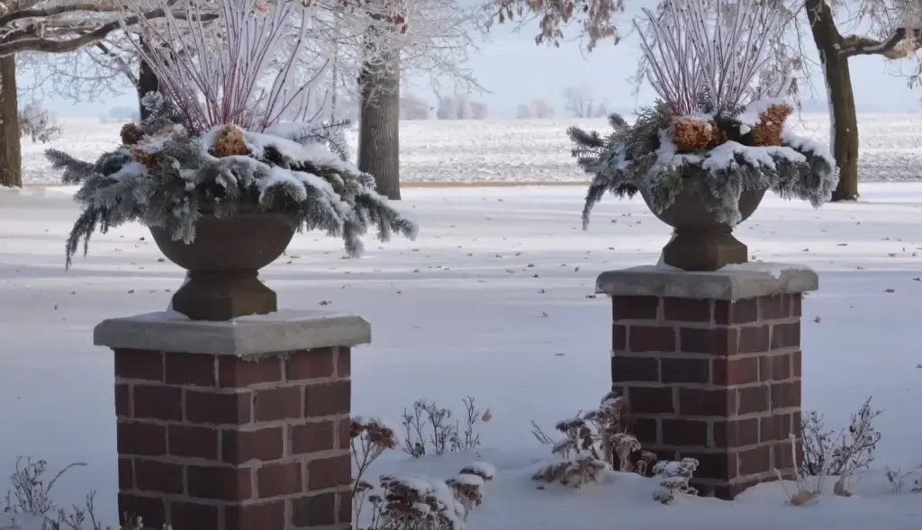 How do I arrange my Christmas greenery?