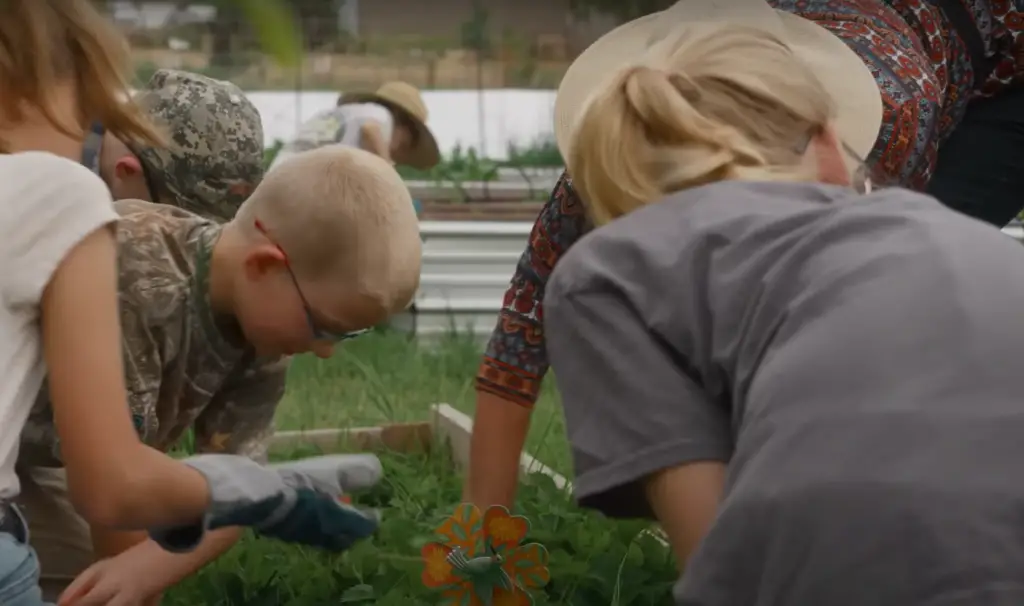 Sensory Gardens